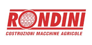 rondini